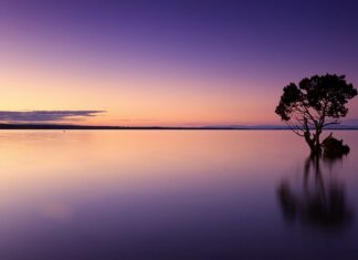 Jak wyklarować wodę w akwarium? Jak wyklarować wodę w akwarium?