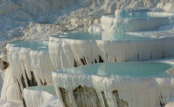 Czy wodę z basenu można wylać do ogrodu?